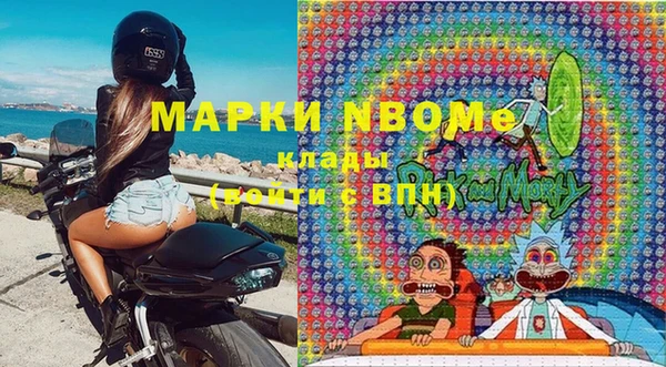 a pvp Новозыбков