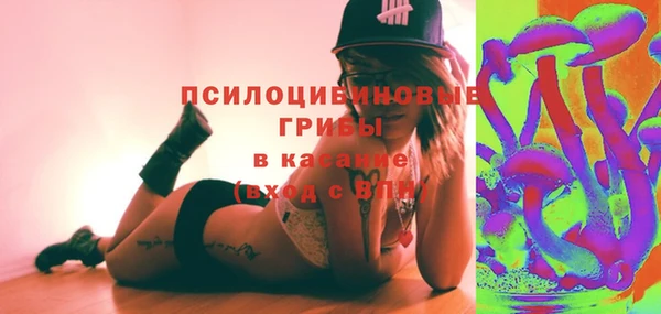 ГАЛЛЮЦИНОГЕННЫЕ ГРИБЫ Новокубанск