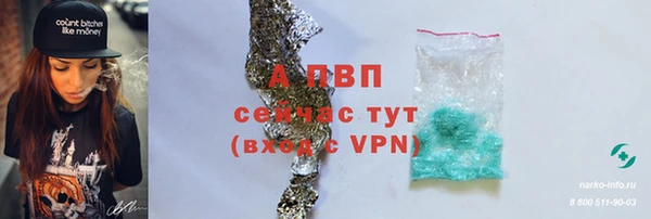ГАЛЛЮЦИНОГЕННЫЕ ГРИБЫ Новокубанск