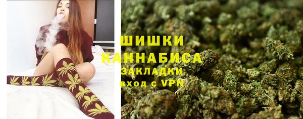 a pvp Новозыбков