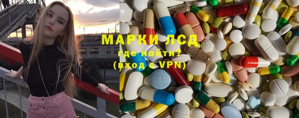 a pvp Новозыбков