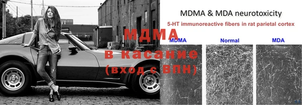 ГАЛЛЮЦИНОГЕННЫЕ ГРИБЫ Новокубанск