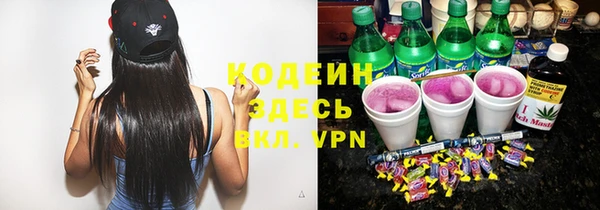 гашик Нея