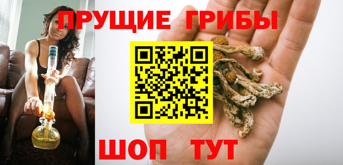 Псилоцибиновые грибы Psilocybine cubensis  Вход с VPN  Кинель 